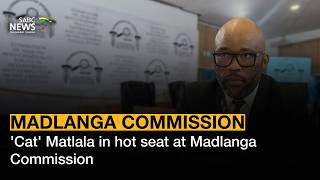 Madlanga Commission | 'Cat' Matlala in hot seat at Madlanga Commission