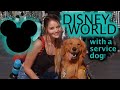 DISNEY WITH MY SERVICE DOG | Travel Vlog with a Service Dog