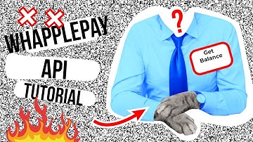 How to get your wallet balance and more using the whapple pay API