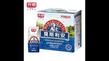 Rolam Crash Lock Bottom Folder Gluer with top handle attchment