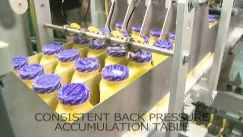 Drop Loader- Case Packer, Servo Lane balancer and Accumulator - Kraken Automation