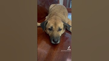 Thứ 7 rồi có ai rủ nhậu hôn ,