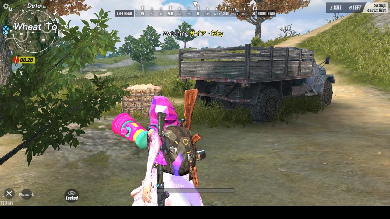 Spectating a HACKER on ROS Steam (Rules of Survival #15)