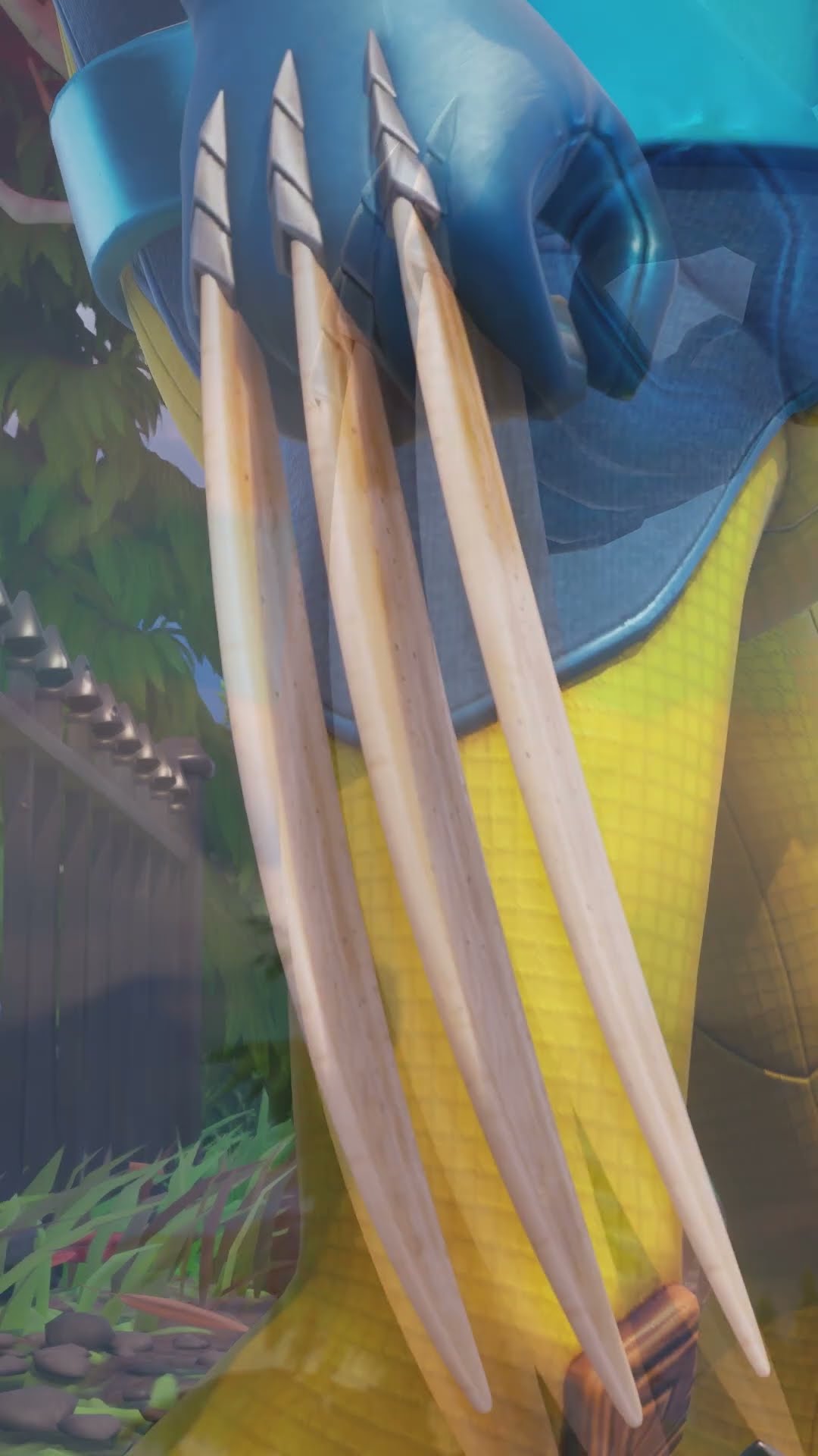 Where Claw Come From
