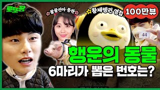Lee Yikyung Visits Pengsoo, the Lucky Animal, and Gets Hit by OO! Ep.3
