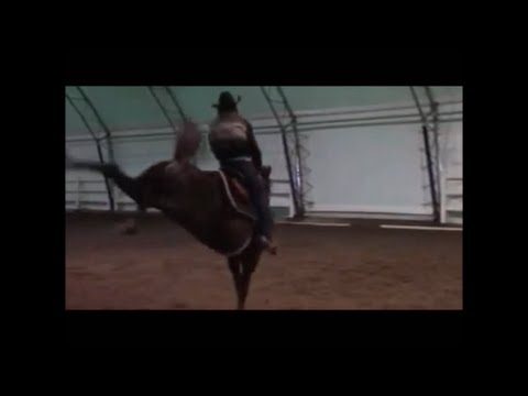 Video: Bantuan Bucking Horse