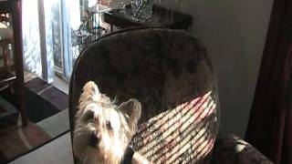 South Winds Apartments - Fall River, MA - "Why I Love My Home" 62