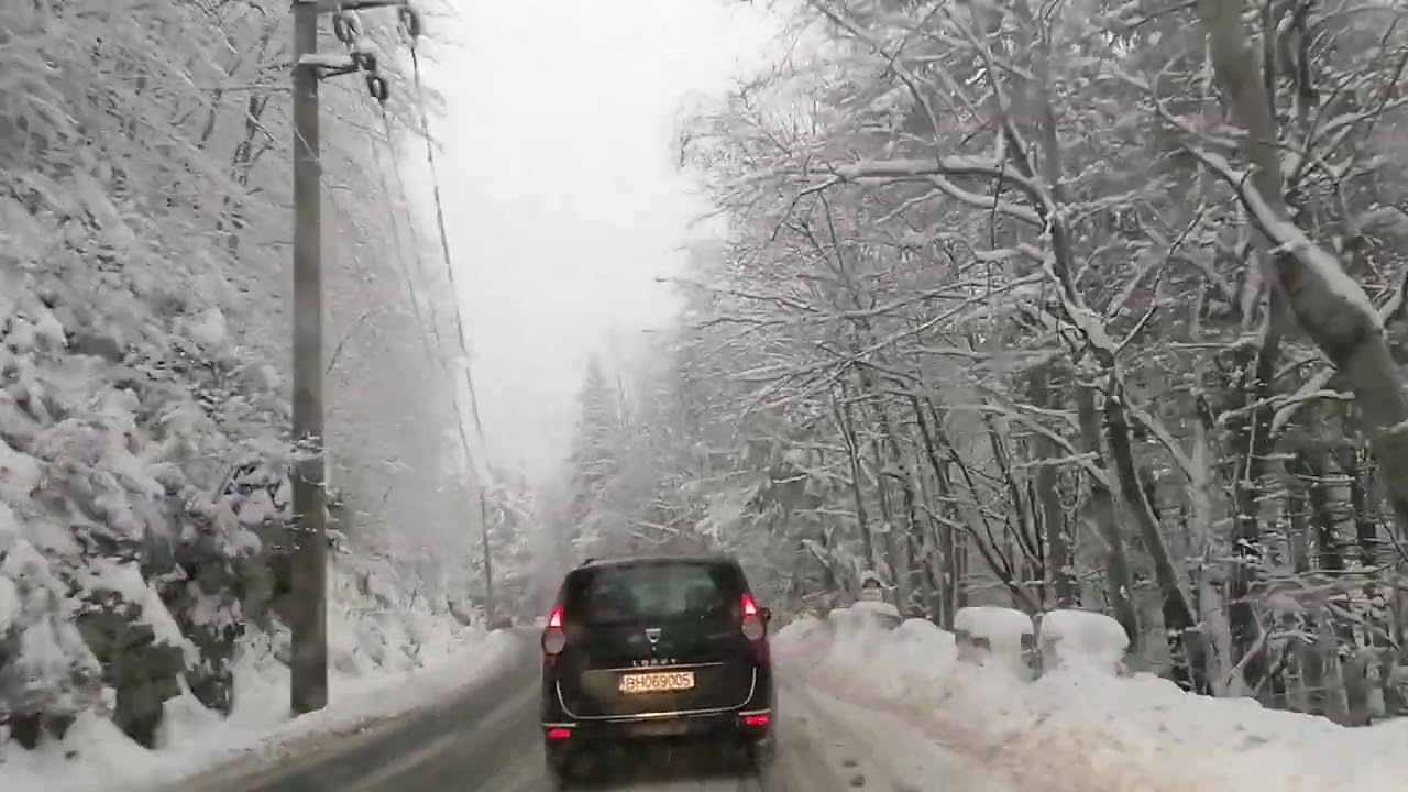 Minunata scena de zapada (Wonderful snowing) - Arieșeni, Romania - 2