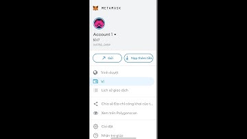 HƯỚNG DẪN CHI TIẾT CÀI ĐẶT MẠNG POLYGON VÀO VÍ METAMASK ĐỂ NHẬN AIRDROP PIX TOKEN(TOKEN IXT)