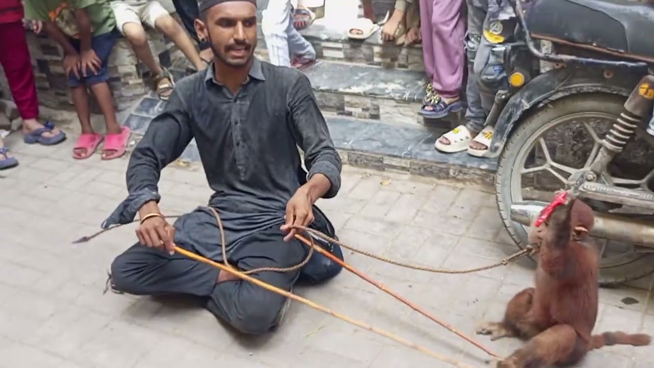 Bandar army training and Suppliers best full video watch the video full 