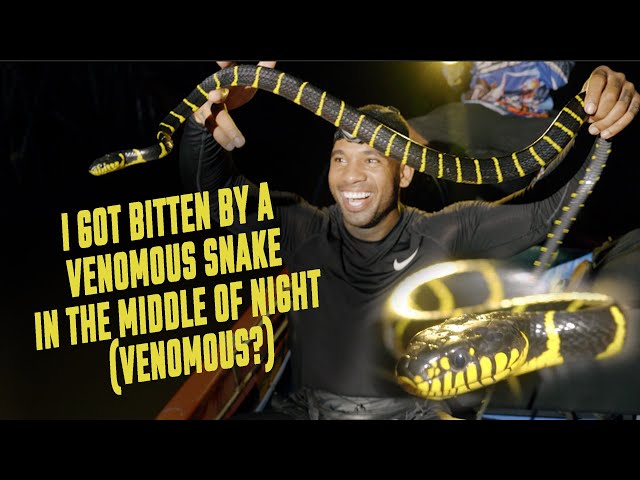 Surviving the JUNGLE of KING COBRA Indonesia! (Venomous SNAKE