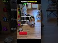 Ranking FUNNIEST Dog FAILS pt 17 #DogFails #FunnyDogs #DogVideos #PetFails #ViralDogs