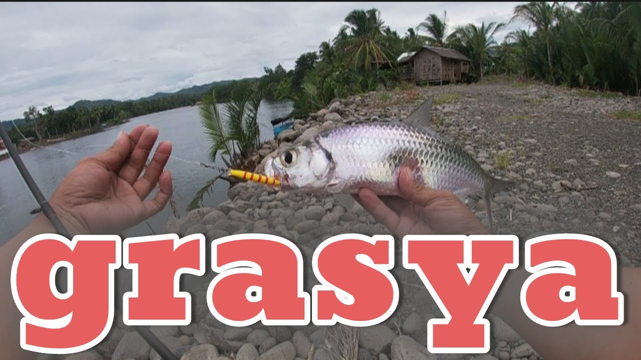 Medium Light Set Up | D kinaya ang Mamaw na Mangrove