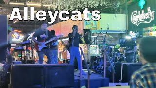 Alleycats Tribute 2026 @ Jetti Food court