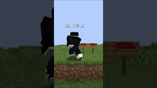 Weirdest Minecraft World Records Ever 😳💀 (You Won’t Believe This)  #minecraft #2b2t #shorts