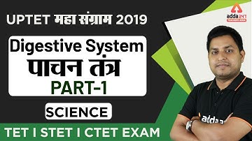 UPTET 2019 | Science | Digestive System (Part 1)