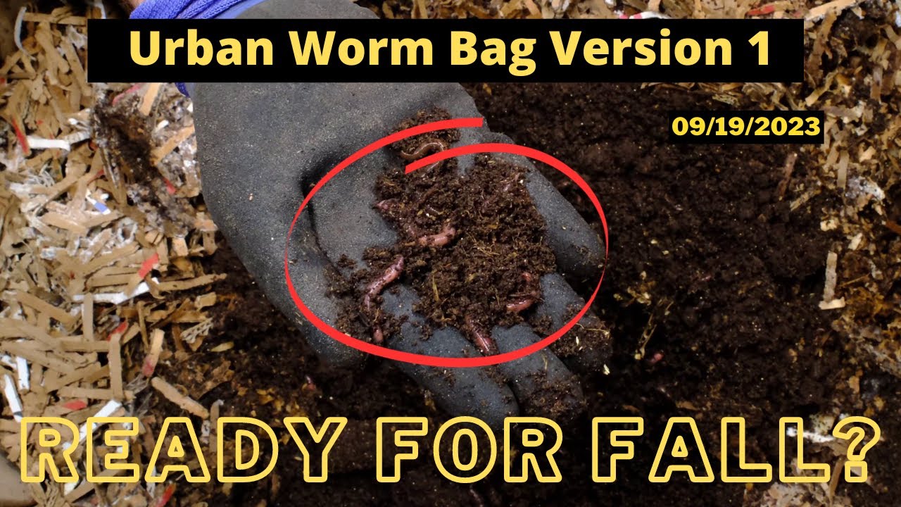 Urban Worm Bag Update - Ready for Fall and Winter?? 9/19/2023 