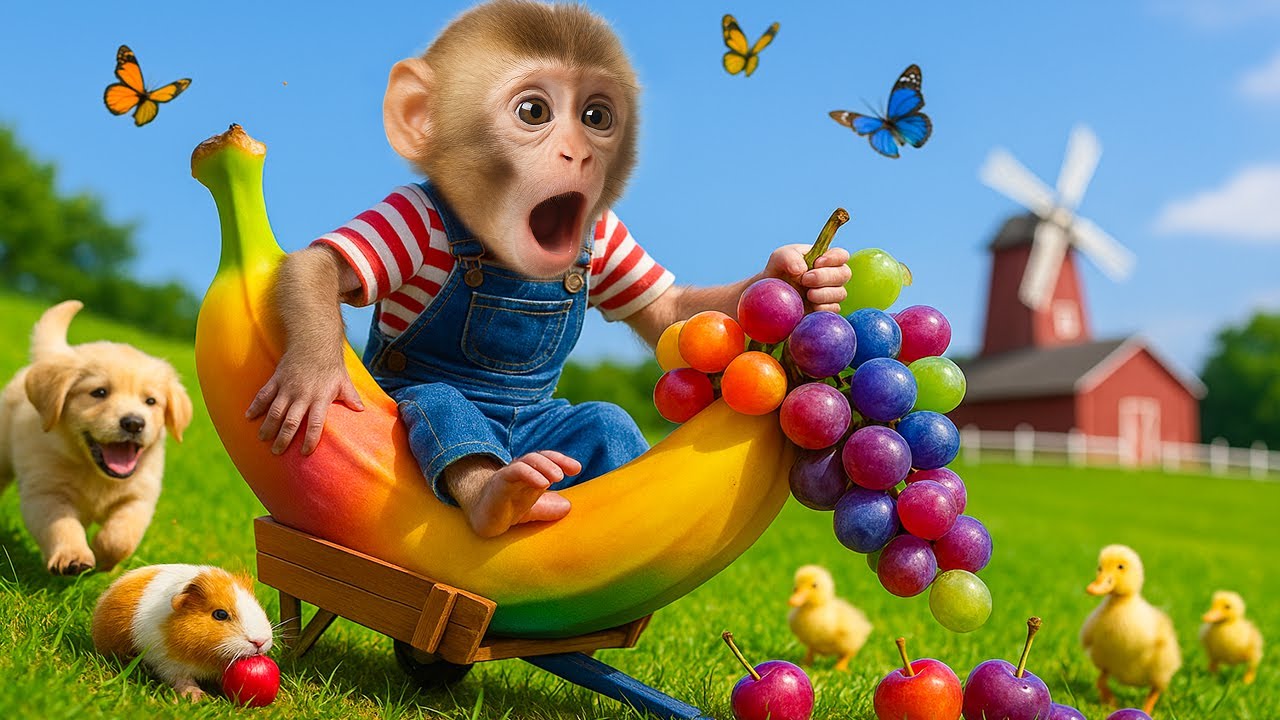 Mono Cherry se pierde en la tierra de las frutas arcoíris gigantes y comienza una aventura mágica.