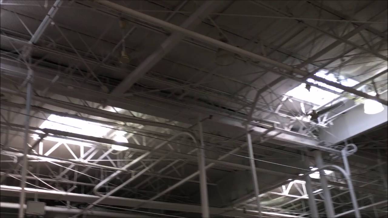 Nine 60 Dayton Industrial Ceiling Fans Costco Wholesale In Santacruz California