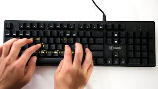 CK800 black LED 02