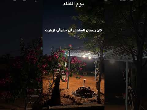 يوم اللقاء بعد الفراق شعر قصائد شعر شعبي عراقي شعر شعبي شيلات اغاني مشاهير الشعرالشعبي