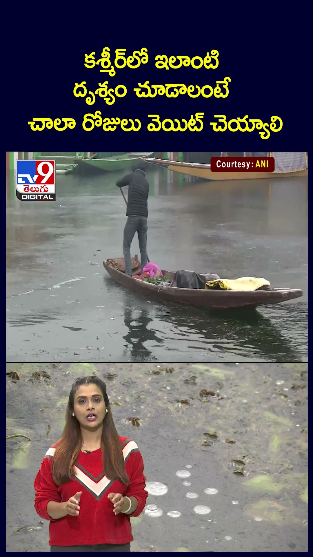 కశ్మీర్‌లో ఇలాంటి దృశ్యం చూడాలంటే చాలా రోజులు వెయిట్ చెయ్యాలి - TV9