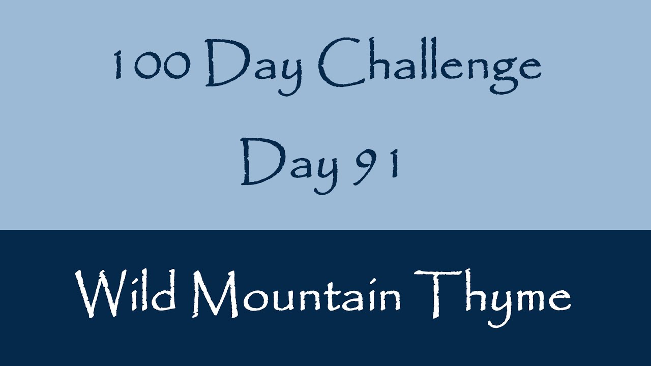 Day 91 Wild Mountain Thyme YouTube