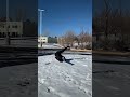 Windmills in the snow! ❄️ #breakdance #bboy #windmills #snow #powermoves #dance #dancer #dancers
