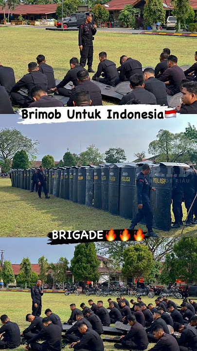LATIHAN PHH PERSIAPAN BKO POLDA METRO JAYA || SATUAN BRIMOB POLDA RIAU #brimob #polri #polisi #riau