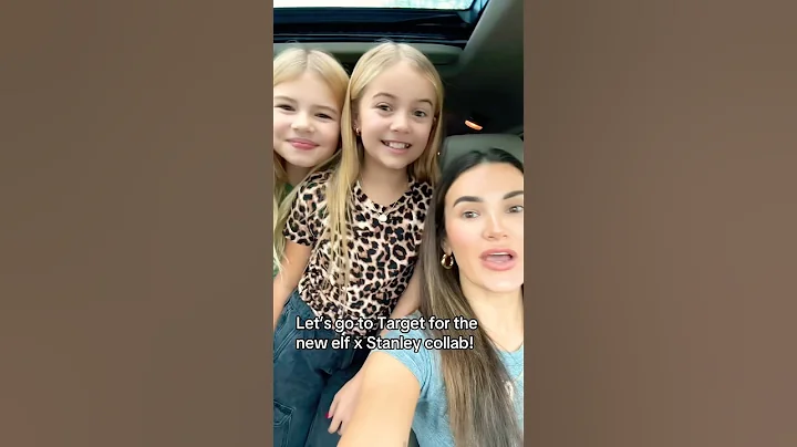 Elf x Stanley collab NEW at Target! 😱 #elfcosmetics #stanley #shopping