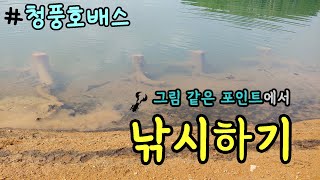 그림같은 포인트에서 배스 낚시 하기!(feat. 빅브렐라, SY크로우) [키맨루어 배스낚시 11 - 충주호, 청풍호 배스]