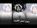 شيله أبو حنظله دلا دلا ياطالب القمه دلا 2019😍😘