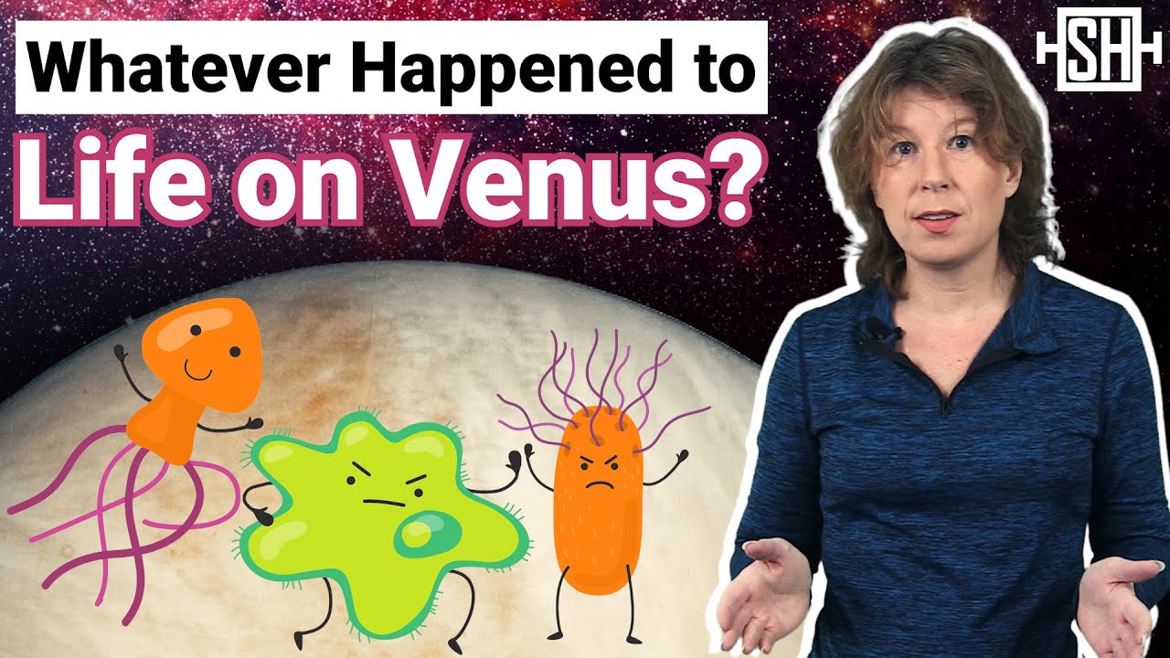 Whatever Happened to Life on Venus?