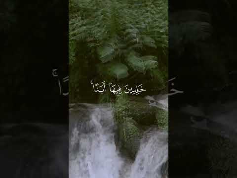 يبشرهم ربهم برحمة منه قراءة عطرة بصوت الشيخ المنشاوي