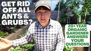 Do I NEED to Get Rid of Ants & Grubs in My Organic Garden + More Q&A