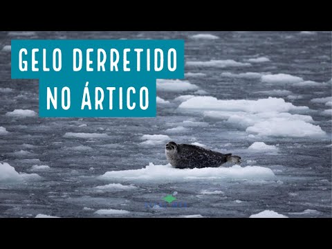 Vídeo: Lago Usacheva Desapareceu No Ártico - Visão Alternativa