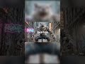 Concrete Jungle King: Rise of the WereGarurumon