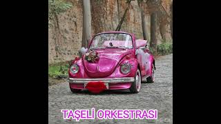 Taşeli̇ Orkestrasi.burdur Develisi,Dudu Giz,