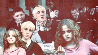 sorry.wmv