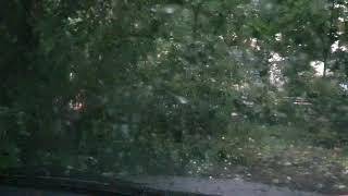 АСМР дождь стучит по машине 1 час. ASMR rain knocks on the car for 1 hour.