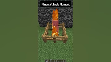 Minecraft Logic (Skeleton) 😲