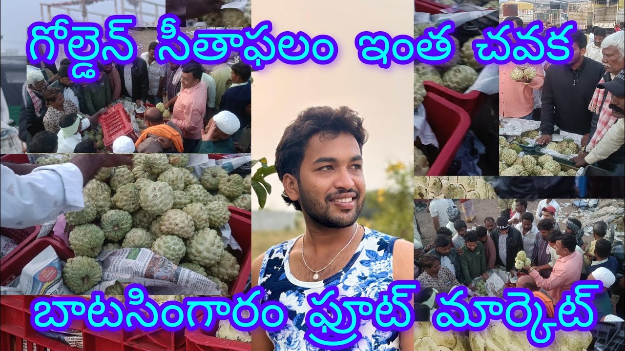 #సీతాఫలాలు #మన రాష్ట్రంలో బిగ్ మార్కెట్#batasingaram fruit market # ...
