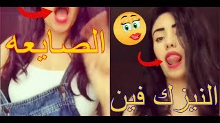 ميوزكلى الصايعه بزياده بنات مصر انحرفوا النيزك يارب 2018 | Musical.ly