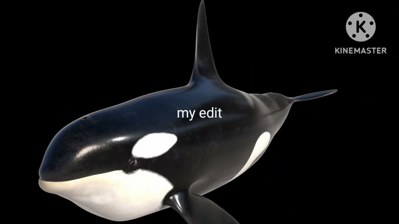 My first edit please subscribe 😁