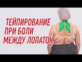 ✅ ТЕЙПИРОВАНИЕ ПРИ БОЛИ МЕЖДУ ЛОПАТОК | Валентин Гайт | Учебный центр BBALANCE