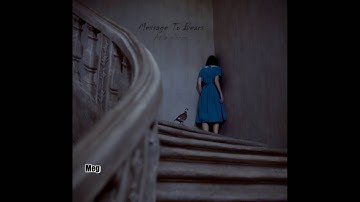 Message To Bears - At a glance...