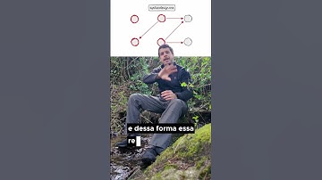 Gossip Protocol #programacao #dev #desenvolvimento #trilhainfo #arquiteturadesoftware #systemdesign