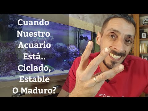 🔵 Cuando Nuestro