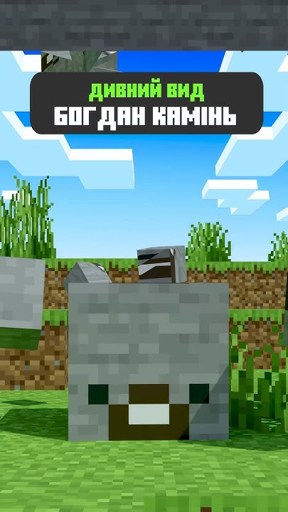 БОГДАН КАМІНЬ! ДИВНИЙ ВИД БОГДАНА! - YouTube