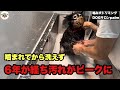 【初来店】6年ぶりの汚れはいかに！！！